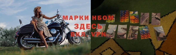 эйфоретик Белокуриха